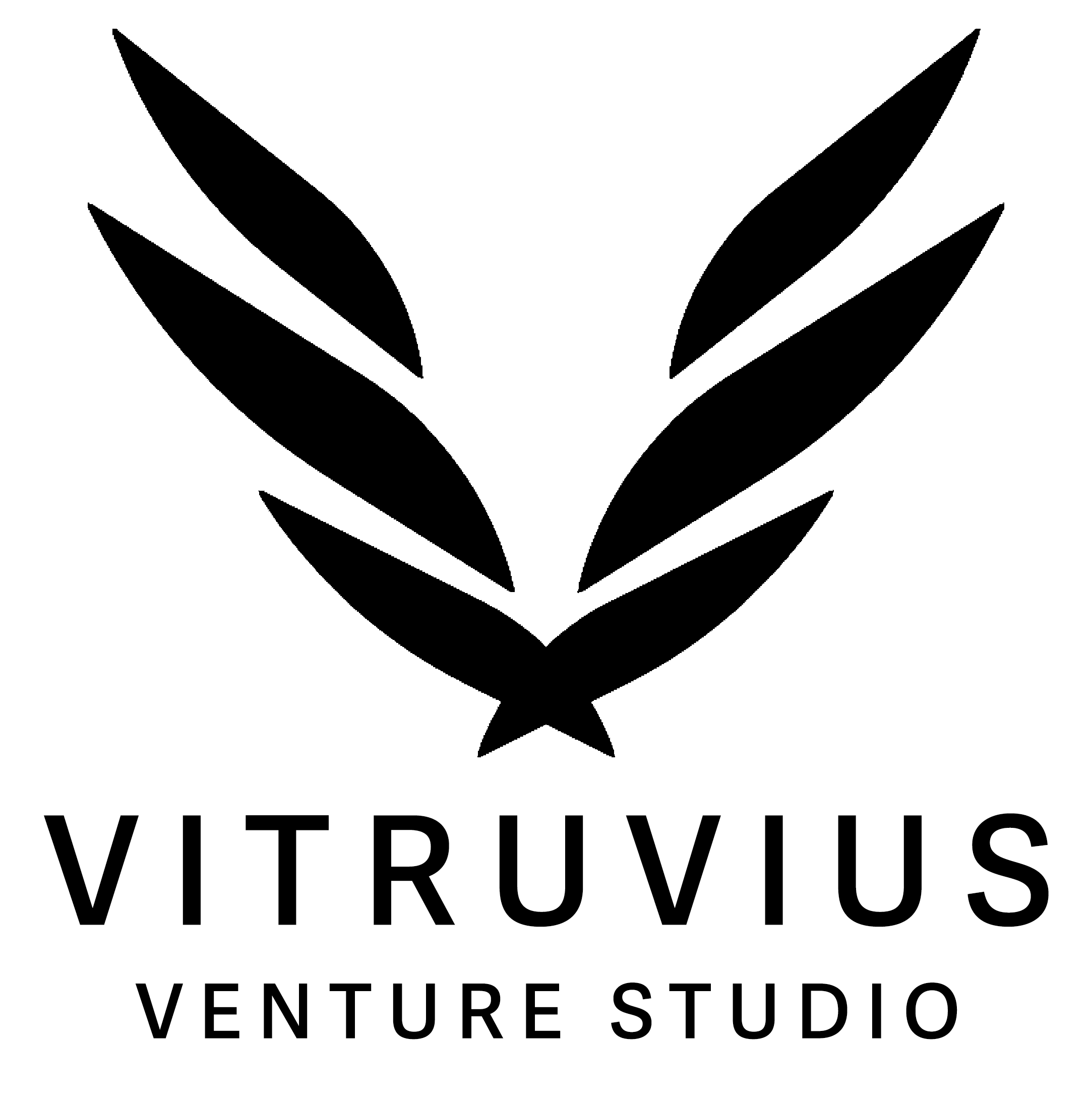 Vitruvius Venture Studio
